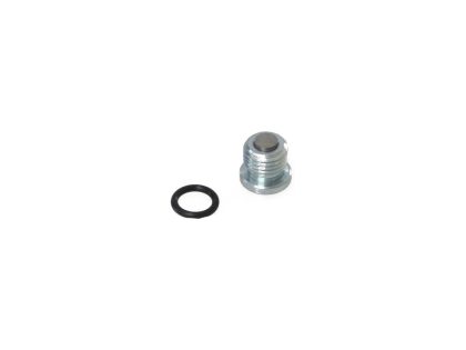 Primary Drain Plug. Fits Twin Cam 2004-2006